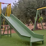 In The Olive Trees * Galaxídhion