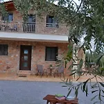 Lantställe In The Olive Trees Galaxídhion