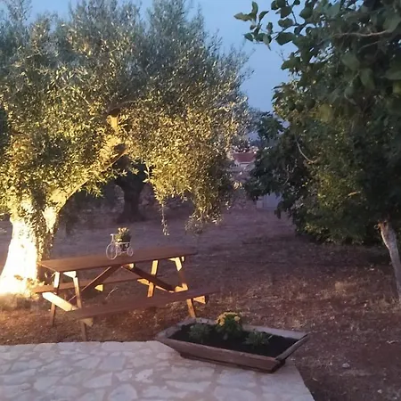 In The Olive Trees * Galaxidi