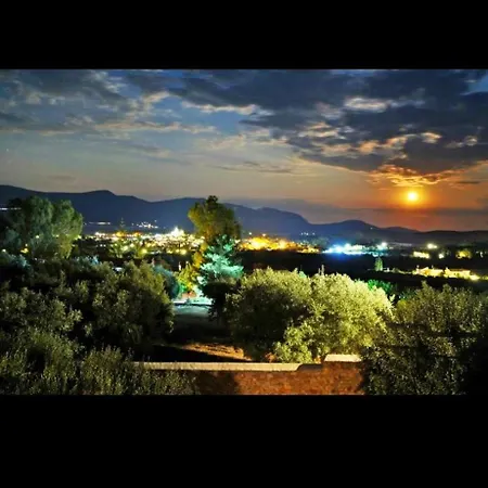 Landsted In The Olive Trees γαλαξιδι