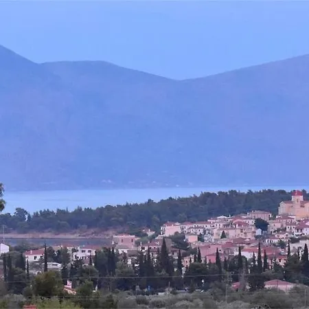In The Olive Trees * Galaxidi