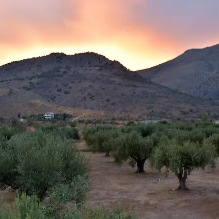 In The Olive Trees Country house *