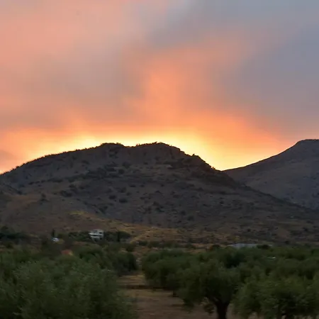 Landsted In The Olive Trees γαλαξιδι
