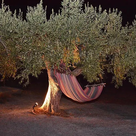 Country house In The Olive Trees *