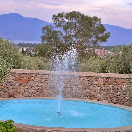 Landsted In The Olive Trees γαλαξιδι Galaxídhion