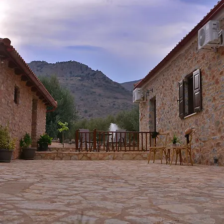 Landsted In The Olive Trees γαλαξιδι