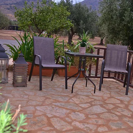 In The Olive Trees γαλαξιδι Landsted