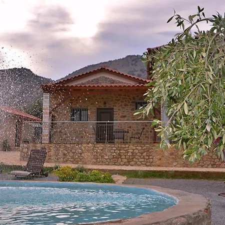 Landsted In The Olive Trees γαλαξιδι
