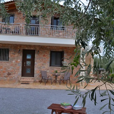 Landsted In The Olive Trees γαλαξιδι Galaxídhion