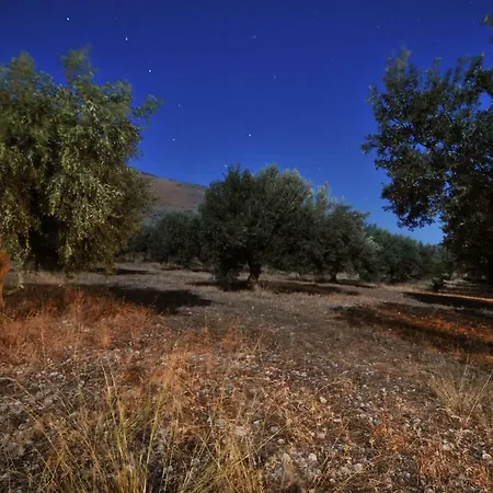 In The Olive Trees Country house Galaxidi