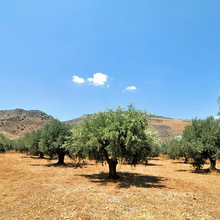 In The Olive Trees Country house *