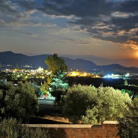 In The Olive Trees γαλαξιδι *